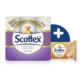 Combineer onze assortimenten klassiek en nat toiletpapier voor maximaal comfort